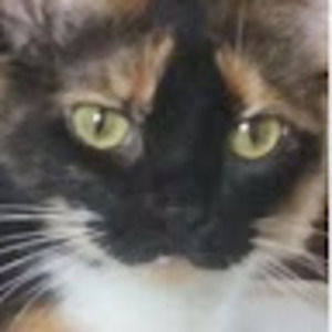 Meet your Posher, Not my